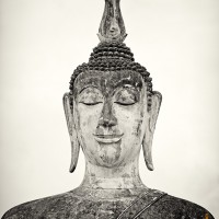 Buddha Portrait