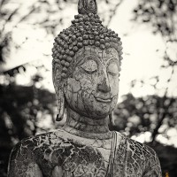 Buddha Portrait