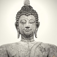 Buddha Portrait