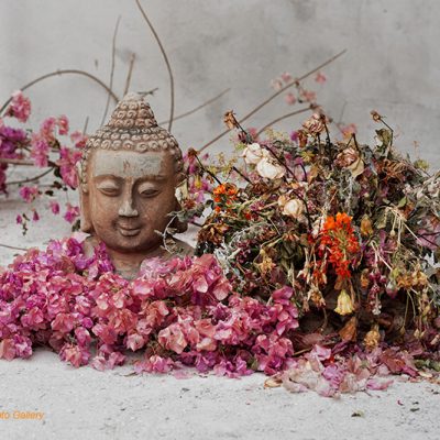 Fine art photo print Recommended for Religion and Spirituality Buddha Flowers