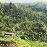 Mountains of Ha Giang Region